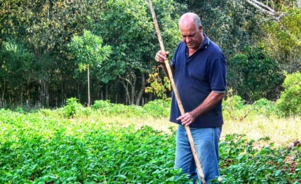 Copia de WhatsApp Image 2025 02 12 at 4.11.13 PM 1 1 820x500