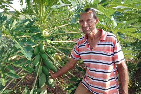 fidencio rodriguez florida 