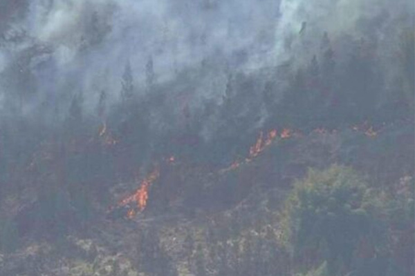 Japon Incendio Forestal 1