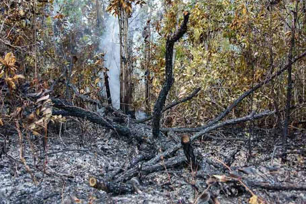 cuba incendio pinar 1