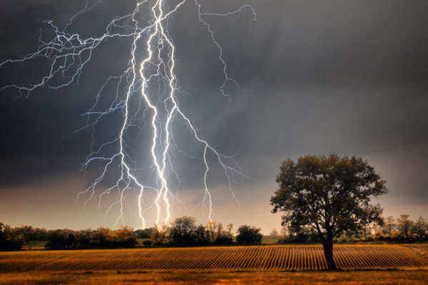 xdZF 84396415 tormenta elec