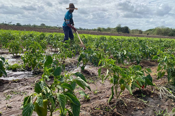 9dcc39410596b72ac70b8f40b65