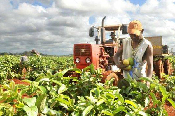 ed551d6d3f93866a8f424ceee53