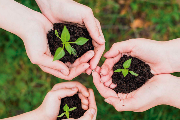 DiaAmbiente 926x10248 1