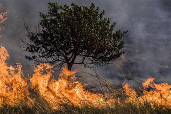 incendios en Honduras 1