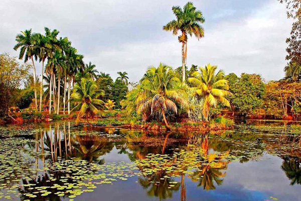 wvuz 40222822 cienaga