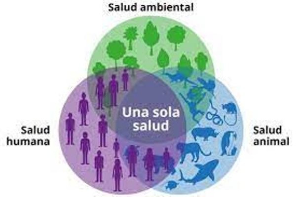 salud ambiental 1 large