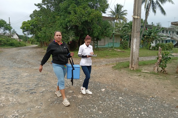 IMG 20251112 130814 600 x 400 pixel