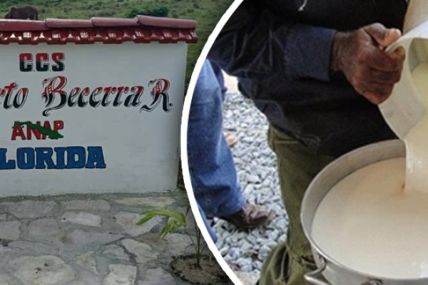 acopio de leche 11 large