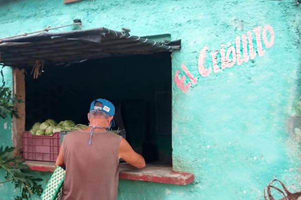 Huerto El Criollito 1