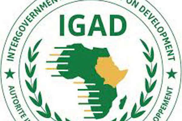 igad 1 1