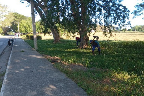 IMG 20251217 084949 600 x 400 pixel