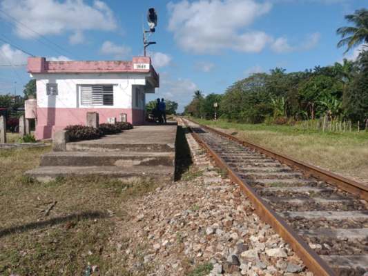 tren 4