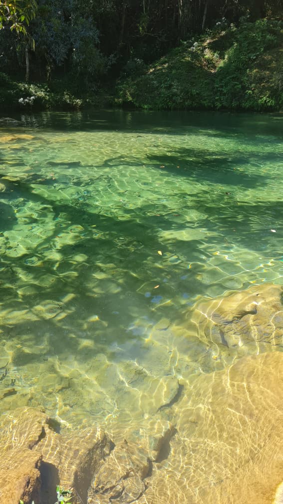 Jovenes camagueyanos naturaleza 3