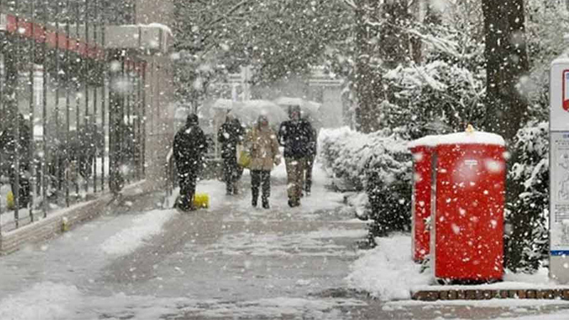 Japon Nevada 1