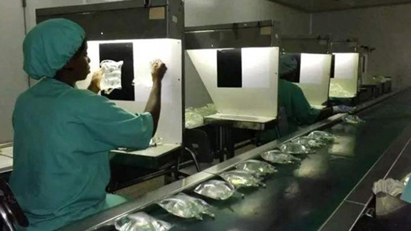 laboratorio farmaceutico or