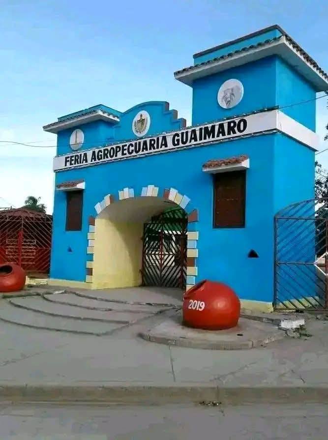 Guimaro 7
