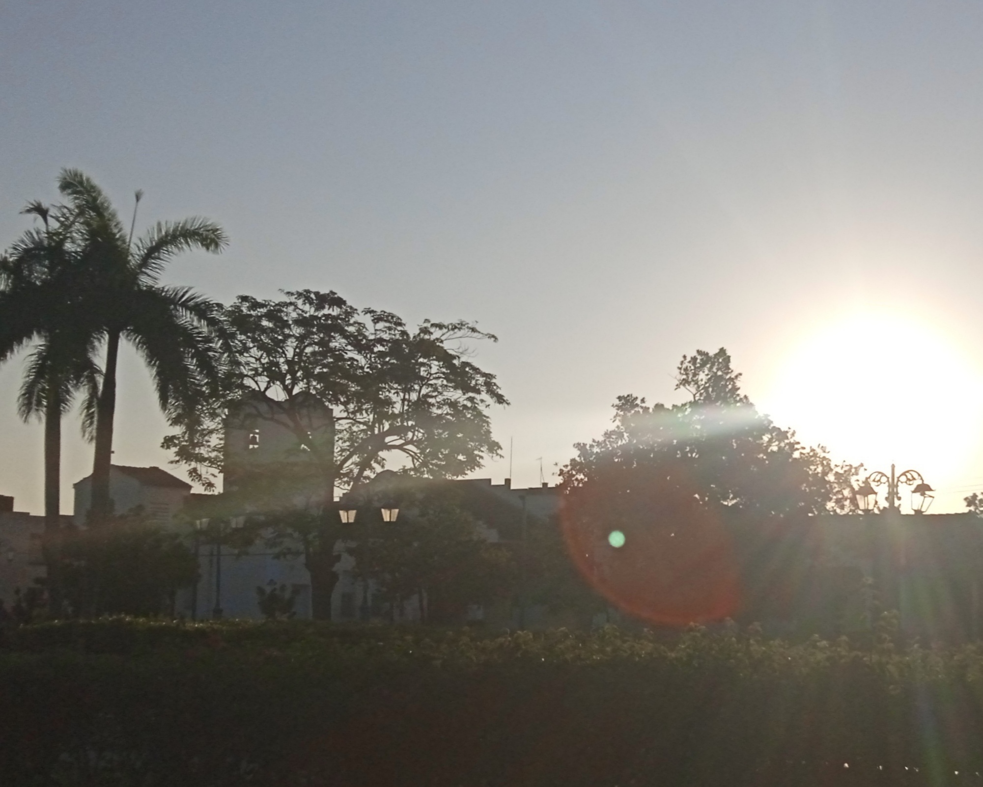 IMG_20260501_074354