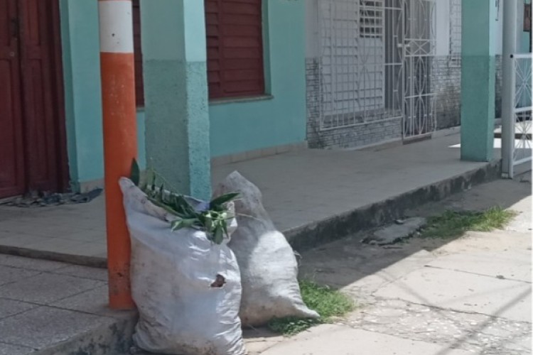 For the environment and health, a call to awareness (+Audio and Photos)